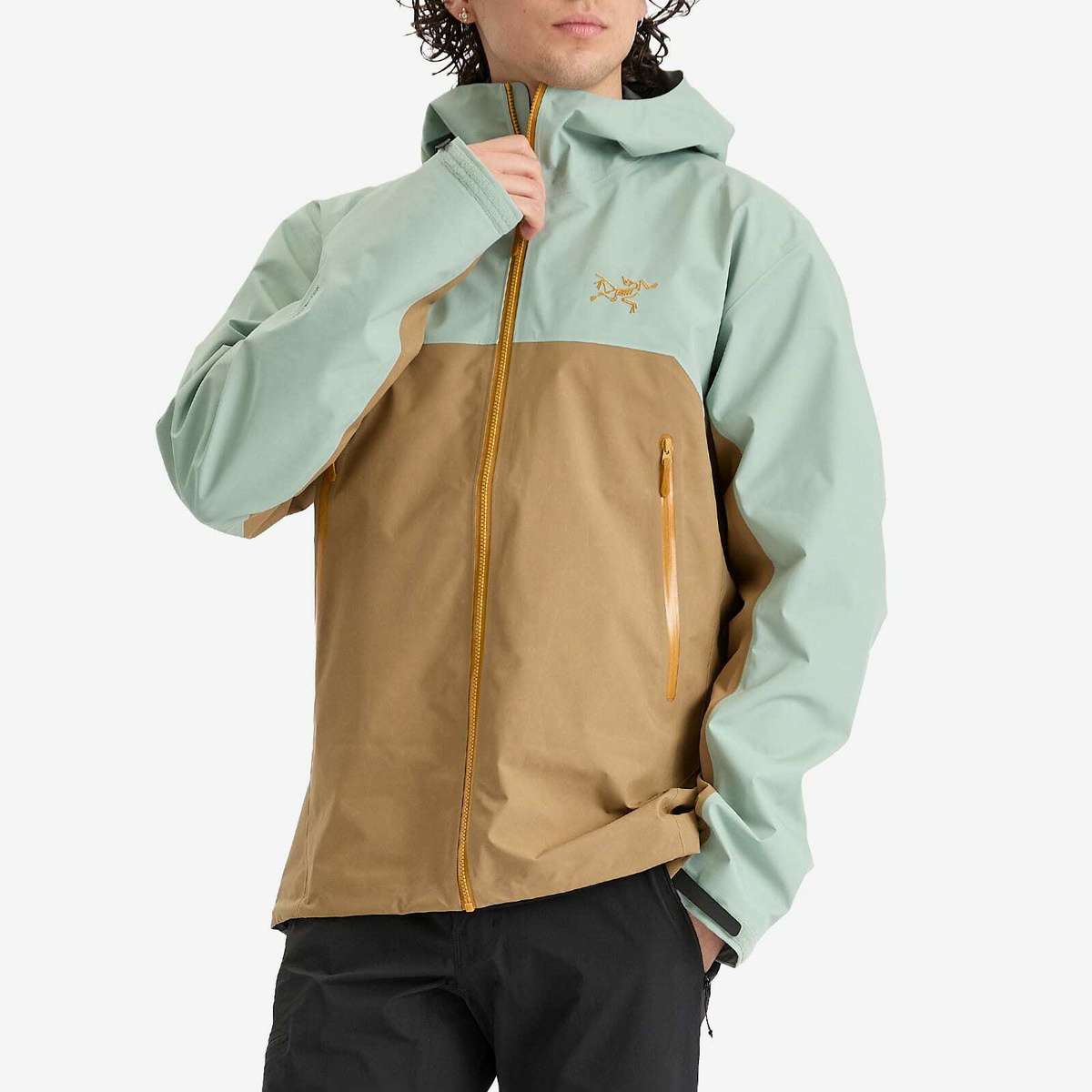 Arc'teryx Men's Beta Gore-Tex Jacket in Trail Magic