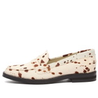 Duke + Dexter Women's Wilde Penny Loafer in Brown Cow