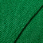 Colorful Standard Merino Wool Scarf in Kelly Green