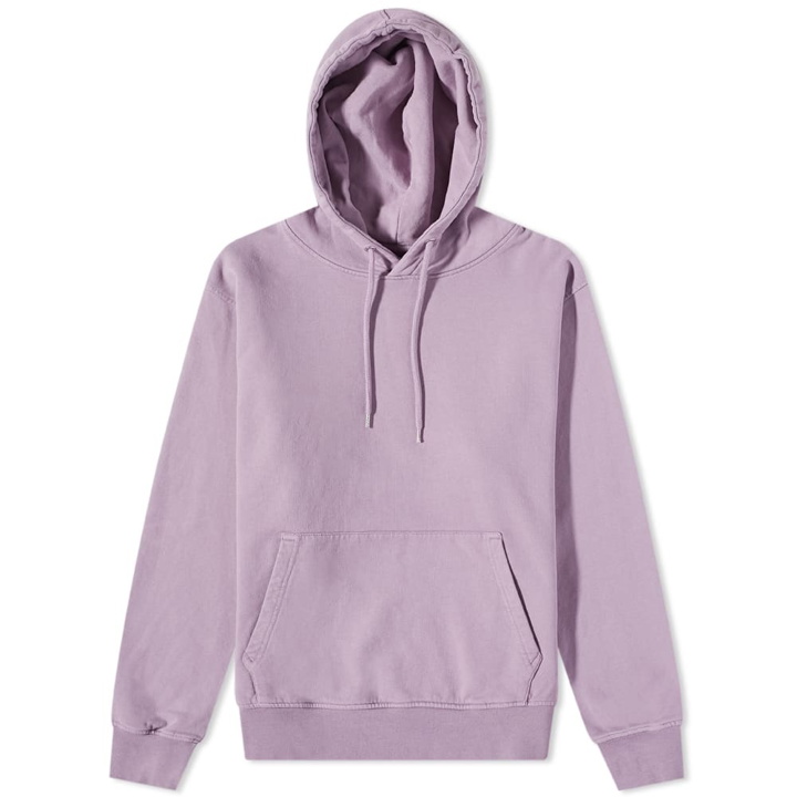 Photo: Colorful Standard Classic Organic Hoody in Pearly Purple