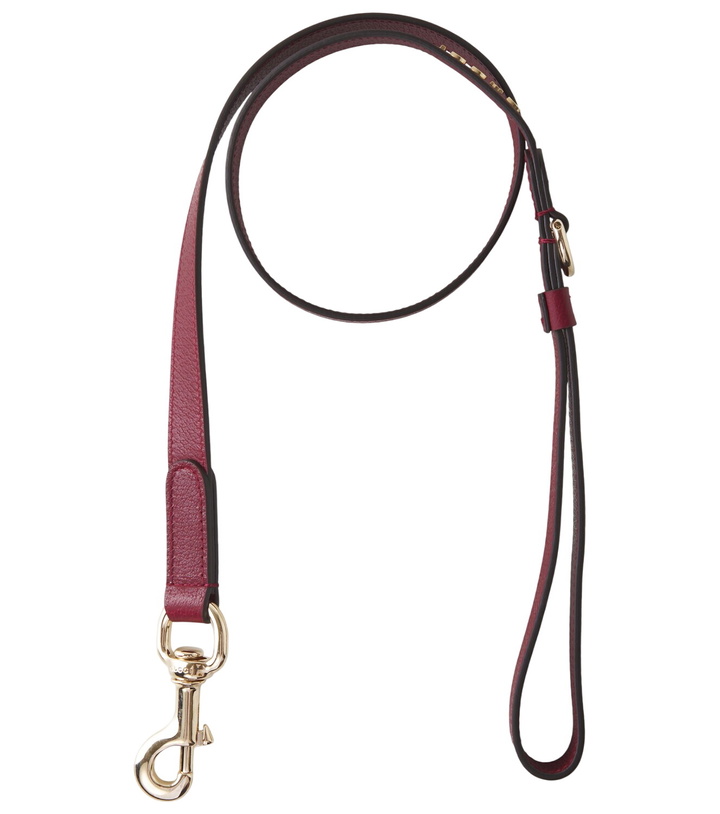 Photo: Gucci Small/Medium leather dog leash