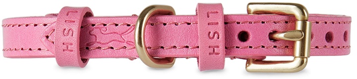 Photo: LISH Pink Small Coopers Collar