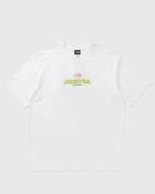 The North Face EXPEDITION CELEBRATION OVERSIZED S/S TEE White Mens Shortsleefe