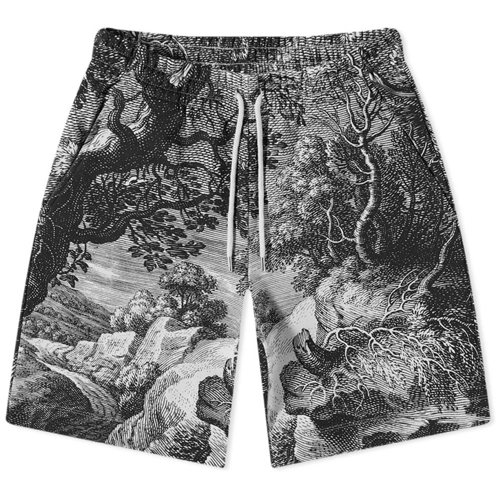 Photo: Dries Van Noten Tiger Print Sweat Short