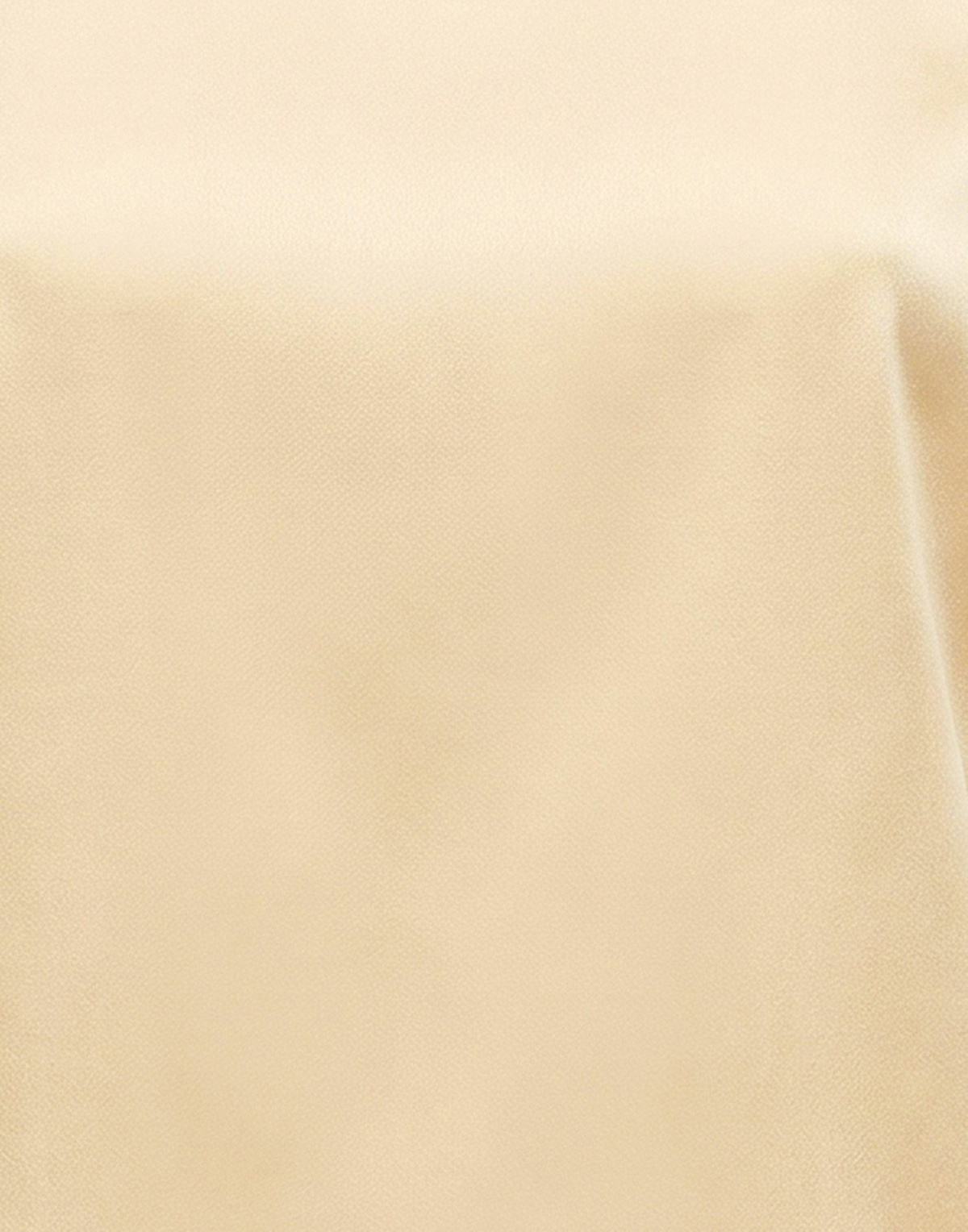 Peserico Womens Top in Beige