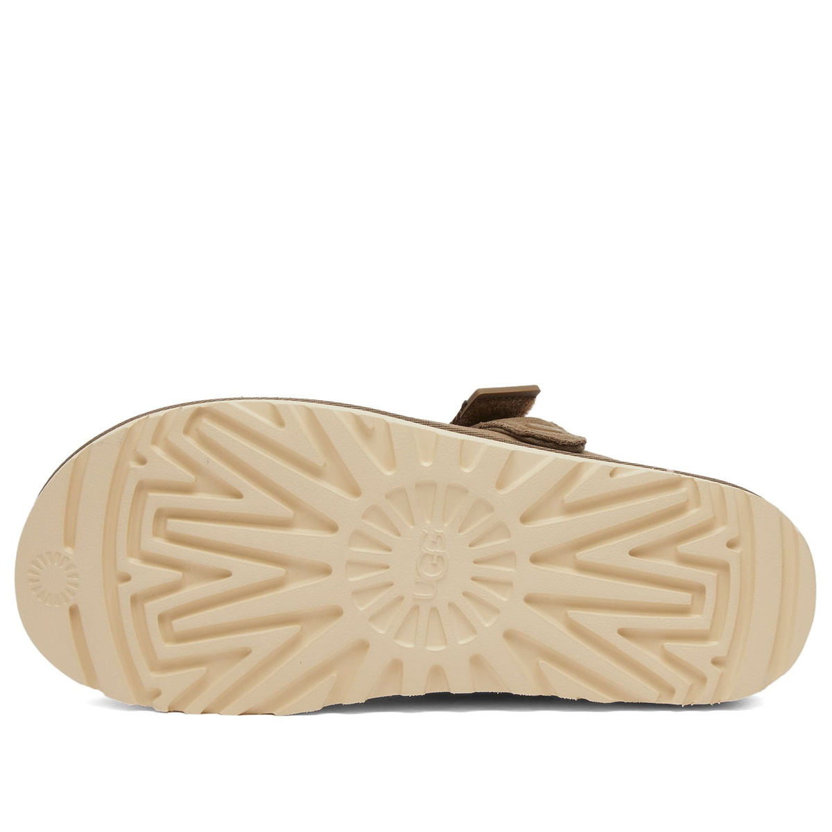 UGG Women's Goldenstar Clog in Hickory
