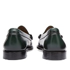 Bass Weejuns Men's Larson Penny Loafer in Dark Green Leather