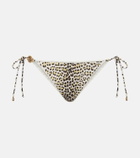 Roberto Cavalli Printed bikini bottoms