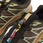 Salomon XT-6 GTX Sneaker in Delicioso/Tea/Plantation