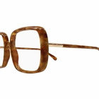 Pomellato PM0117O Eyewear