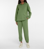 Velvet - Denny cotton sweatshirt
