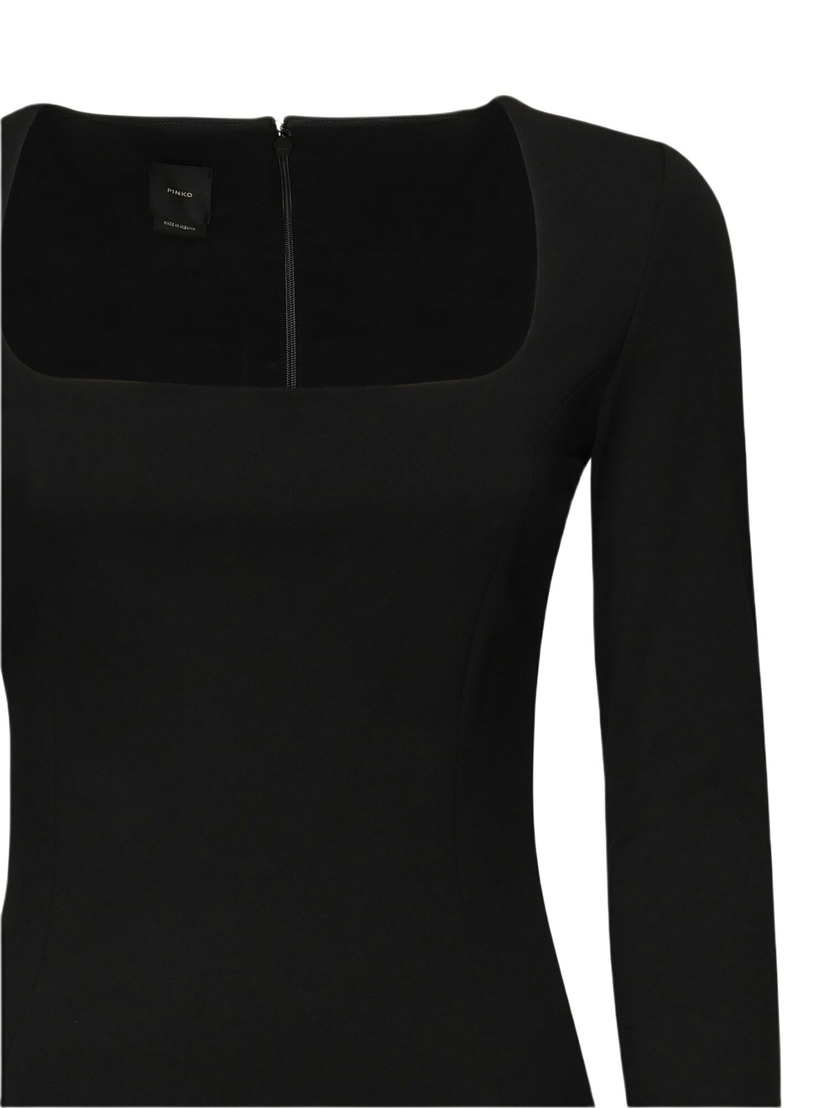 Pinko Acetosella Dress