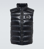 Canada Goose - Crofton down vest