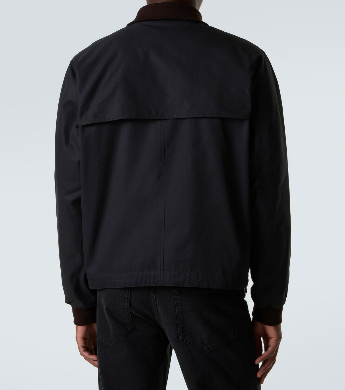 The Row Mantis cotton blouson jacket