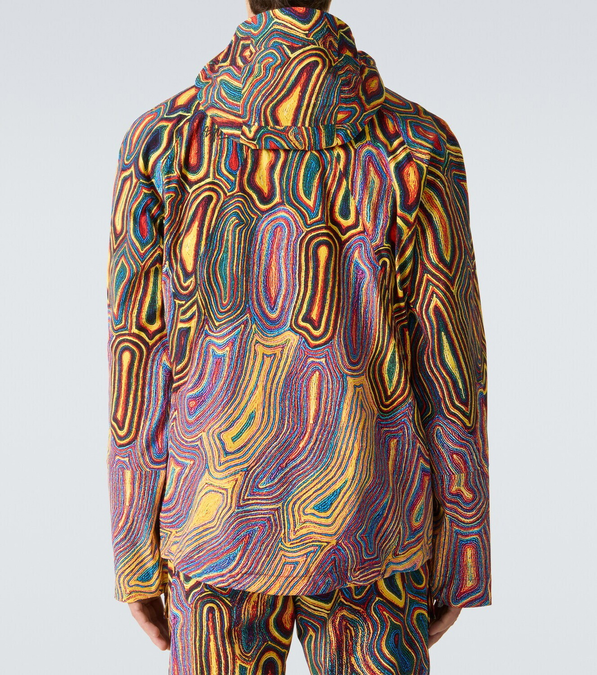 Aztech Mountain Hayden 3L Shell printed ski jacket