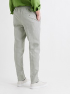 RUBINACCI - Pleated Cotton-Twill Trousers - Gray