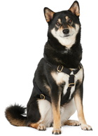 See Scout Sleep Black The Scot Medium Original Harness