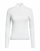 Peserico Womens Turtleneck Light in Grey