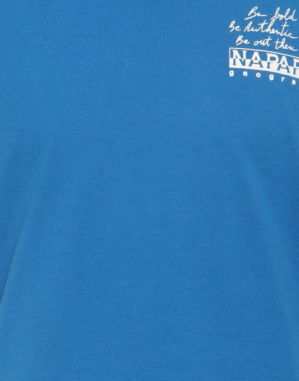 Napapijri Mens T-shirt in Azure