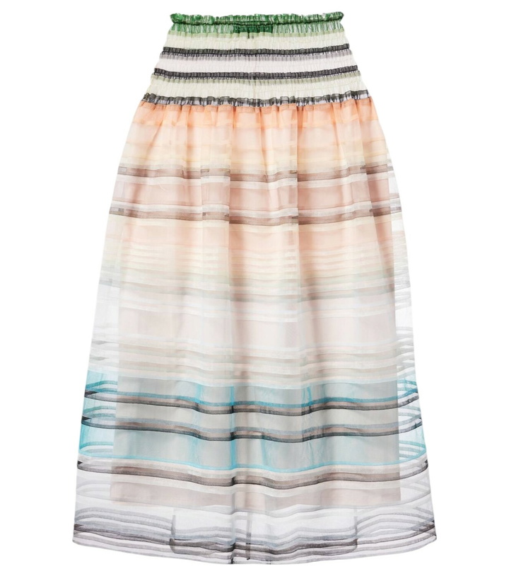 Photo: Susan Fang Striped tulle midi skirt