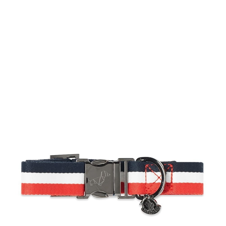 Photo: Moncler Genius x Poldo Tricolore Collar