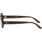 Ray-Ban Brown RB2223 Sunglasses