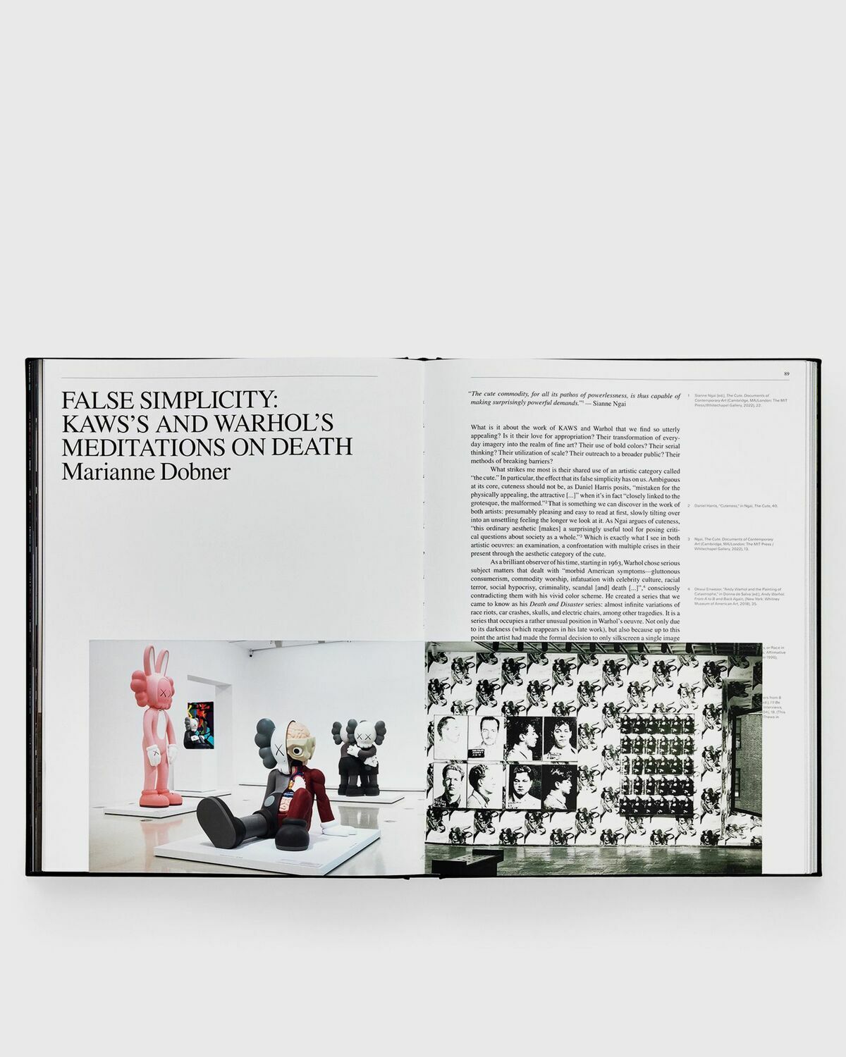 PHAIDON KAWS + Warhol Multi-color Mens Fashion & Lifestyle