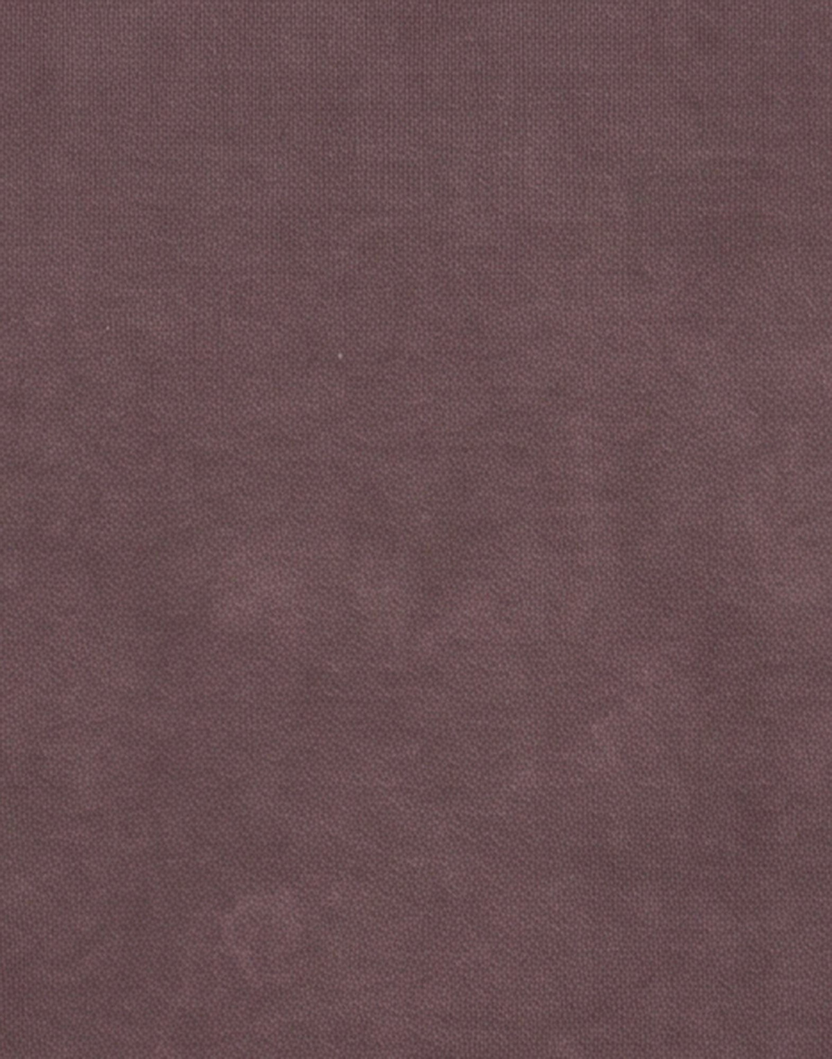 C. p. Company Mens Sweatshirt Mauve