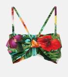 Dolce&Gabbana Bow-detail floral cotton bra top