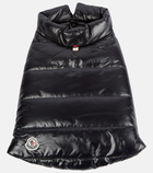 Moncler Genius - x Poldo Dog Couture dog coat