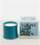 Loewe Home Scents Incense Large scented candle