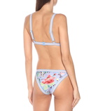 Zimmermann - Bellitude floral bikini bottoms