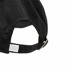 Dickies Men's Premium Collection Ball Cap in Black