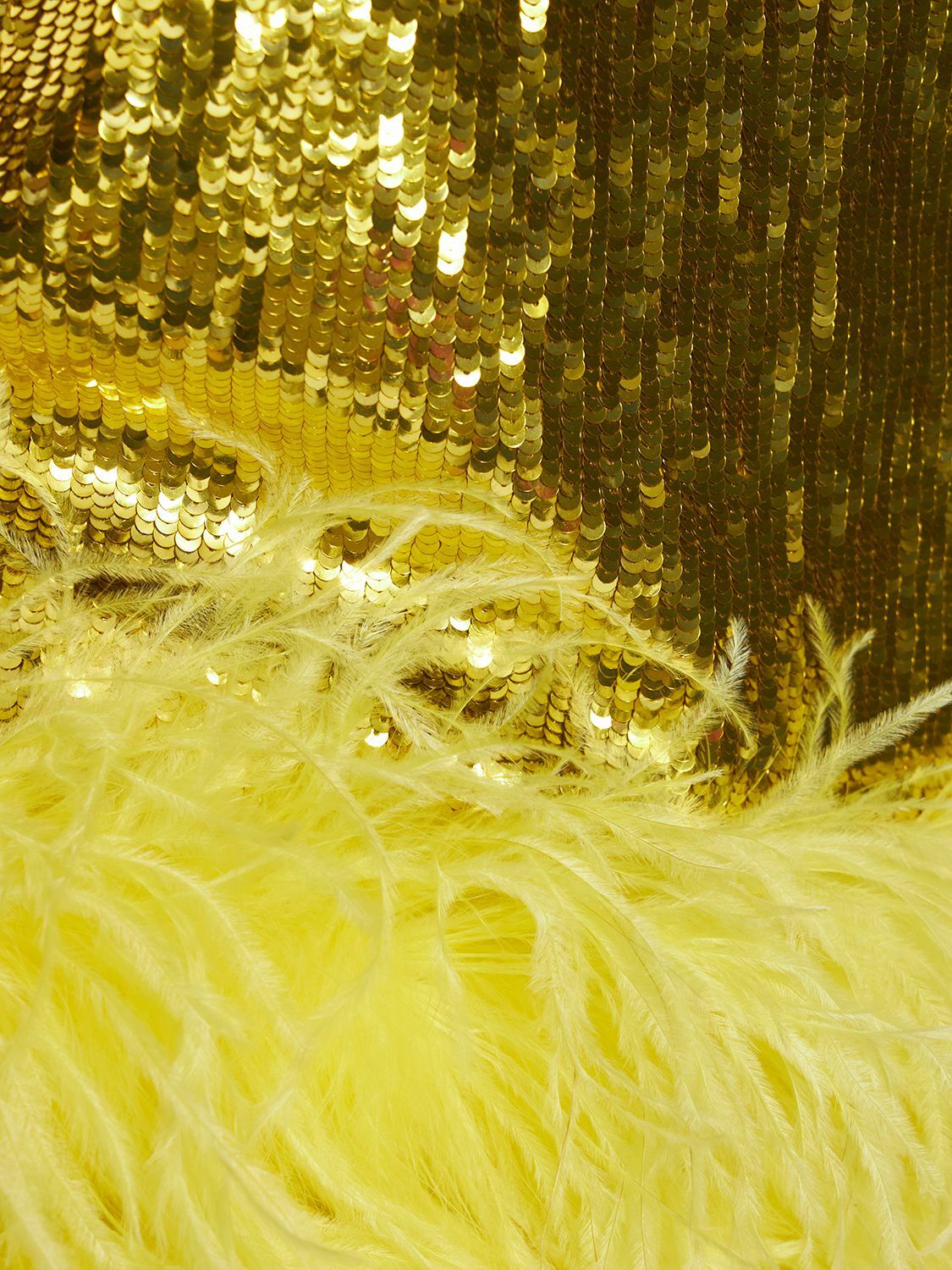 VIP【関税送料無料】希少 Valentino Feathers Mini Dress VALENTINO - Sequined Mini Dress W/ Feathers Valentino