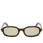 Prada Eyewear D06S Sunglasses in Root Tortoise/Light Brown 
