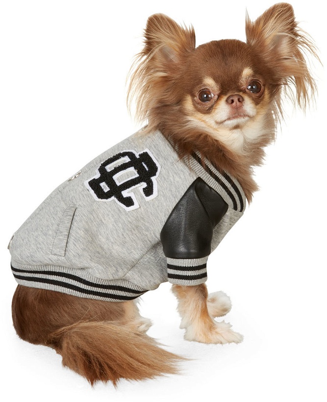 Photo: Dsquared2 Grey Poldo Dog Couture Edition Bomber