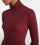 Goldbergh Mireille ribbed-knit turtleneck midi dress