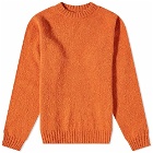 Albam Men's Boiled Wool Crew Neck Knit in Orange