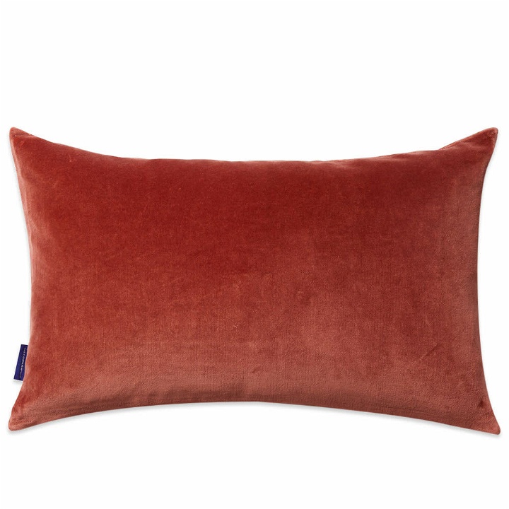 Photo: The Conran Shop Velvet Cushion 30 x 50cm in Bruchetta