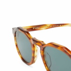 Oscar Deen Pinto Sunglasses in Havana/Olive 