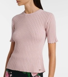 Erdem Pointelle cotton top