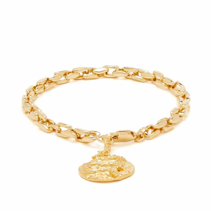 Photo: Alighieri Women's The Medusa Bracelet in Gold