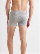 Organic Basics - Two-Pack Lite Stretch-TENCEL Lyocell Boxer Shorts - Gray