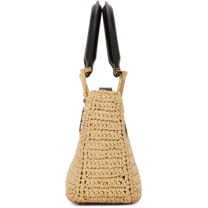 Fendi Sunshine Mini Leather-trimmed Woven Raffia Tote in Black