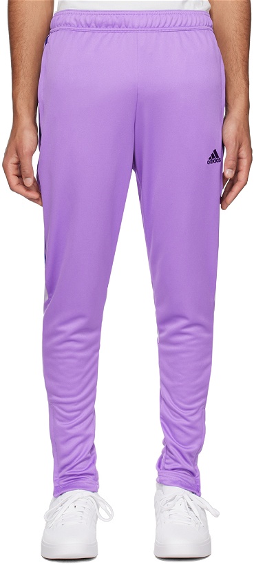 Photo: adidas Originals Purple Tiro Sweatpants