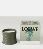 Loewe Home Scents Marihuana Small scented candle