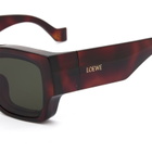 Loewe Eyewear Paula's Ibiza Wayfarer Sunglasses in Havana/Green 