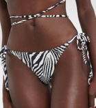 Reina Olga Miami zebra-print seersucker bikini bottoms