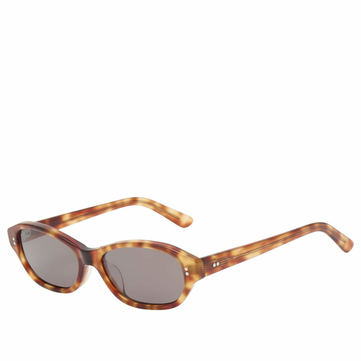 Photo: AKILA Rey Sunglasses in Toffee Tortoise/Asphalt 