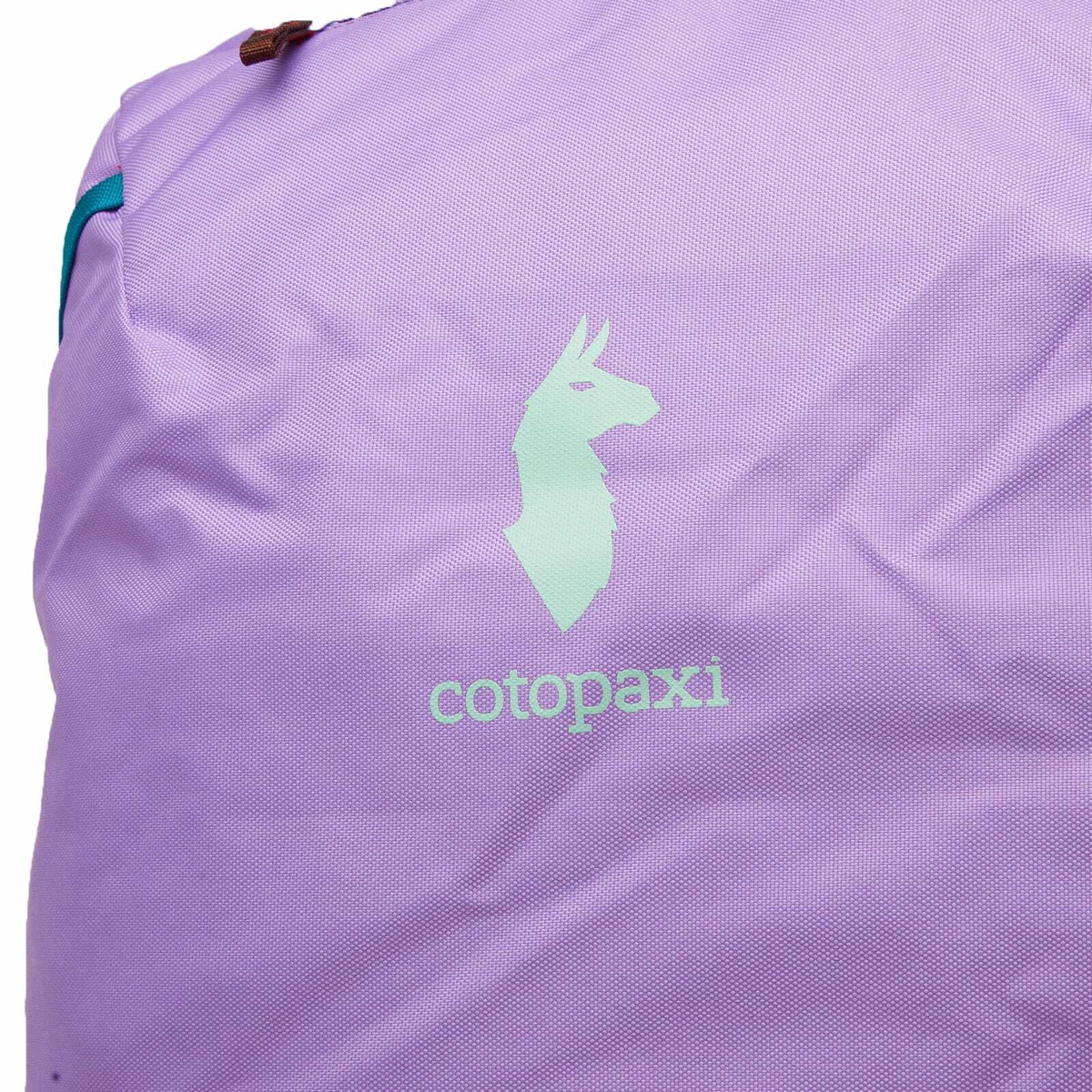 Cotopaxi Men's Allpa 42L Travel Pack in Del Dia 